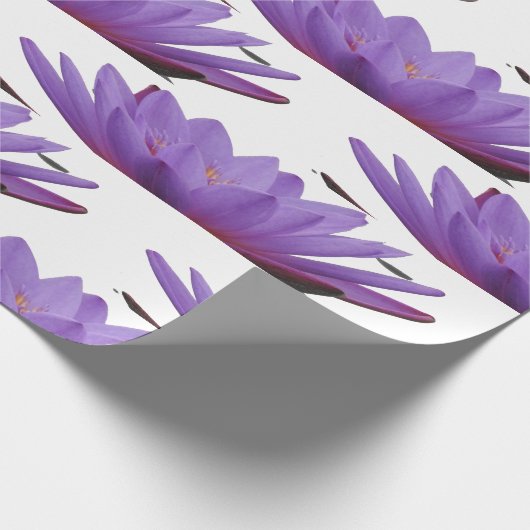 Lila Crocus Blume Wrapping Paper Geschenkpapier (Ecke)
