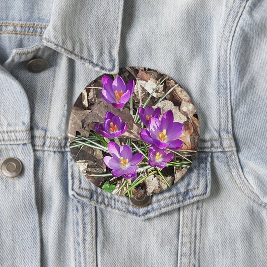 Lila Crocus Button (Beispiel)
