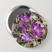 Lila Crocus Button (Vorne & Hinten)