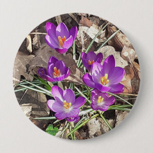 Lila Crocus Button