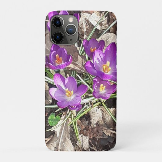 Lila Crocus Case-Mate iPhone Hülle (Rückseite)