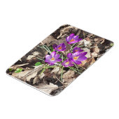 Lila Crocus Flexible Foto Magnet (Linke Seite)
