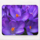 Lila Crocus Garden Blume Mousepad (Vorne)