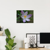 Lila Crocus Macro Print Poster (Heimbüro)