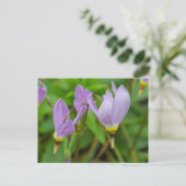 Lila Crocus Nudiflorus Blume Postkarte (Stehend Vorderseite)