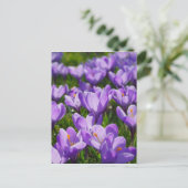 Lila Crocus Ostergruss Postkarte (Stehend Vorderseite)