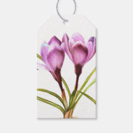 Lila Crocus Spring Blume Aquarellprägung Geschenkanhänger