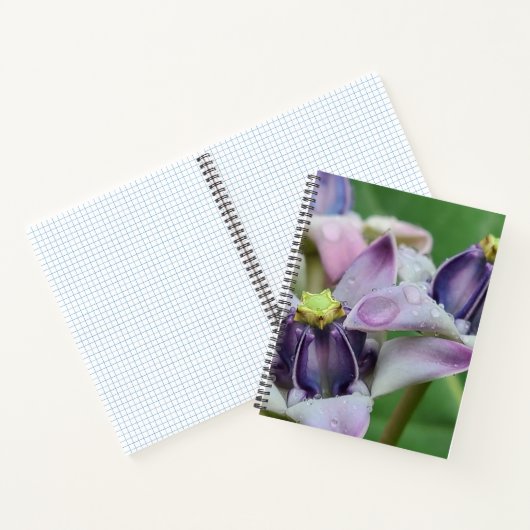 Lila Crown Blume Notebook Notizblock (Innenseite)