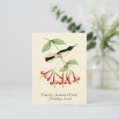Lila Crowned Fairy Hummingbird Art Postkarte (Stehend Vorderseite)