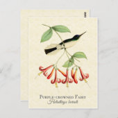 Lila Crowned Fairy Hummingbird Art Postkarte (Vorne/Hinten)
