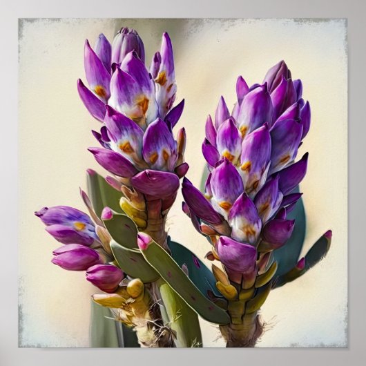 Lila Curcuma Blume Art Print Poster (Vorne)