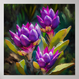 Lila Curcuma Blume Art Print Poster