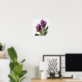 Lila Curcuma Blume Art Print Poster (Heimbüro)