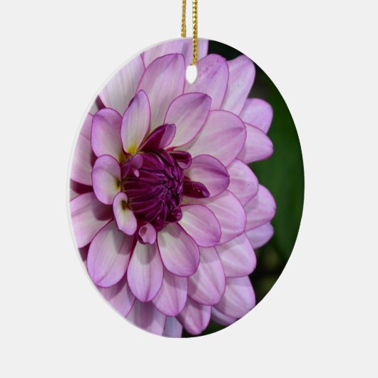 Lila Dahlia Blume Blüten Weihnachtsschmuck (Rechts)