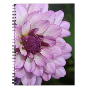 Lila Dahlia-Blume-Blütenheft Notizblock