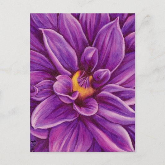 Lila Dahlia Blume Originale Kunst Postkarte (Vorderseite)