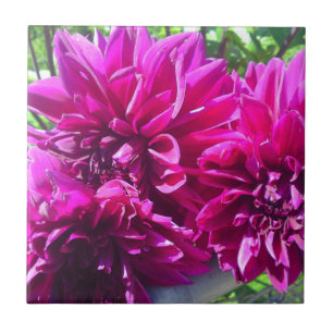 Lila Dahlia Blume Tile Fliese