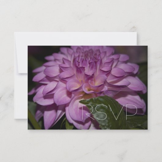 lila Dahlia Blume UAWG Einladung (Rückseite)