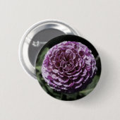 Lila Dahlia-Button Button (Vorne & Hinten)