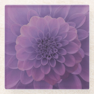 Lila Dahlia Glasuntersetzer