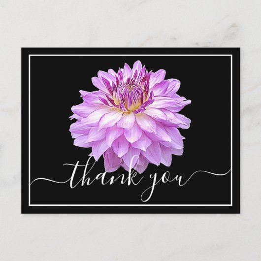 Lila Dahlia mit schwarzem Hintergrund Vielen Dank Postkarte (Vorderseite)