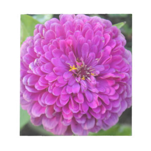 Lila Dahlia Notizblock