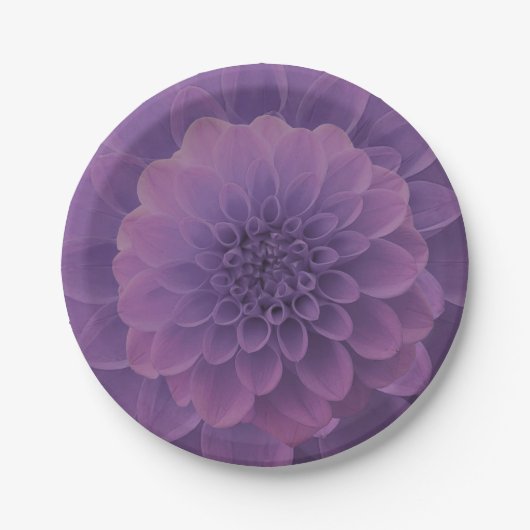Lila Dahlia Pappteller (Vorderseite)