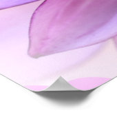 Lila Dahlia Poster (Ecke)