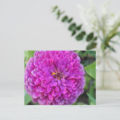 Lila Dahlia Postkarte (Stehend Vorderseite)