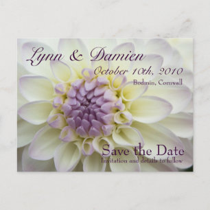 Lila Dahlia ・ Save the Date Postkarte