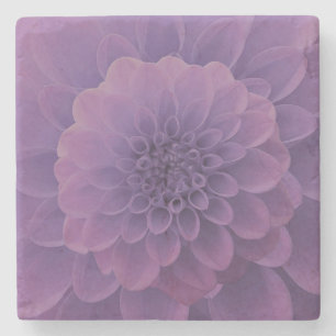 Lila Dahlia Steinuntersetzer
