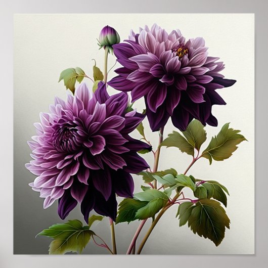 Lila Dahlias Blume Art Print Poster (Vorne)