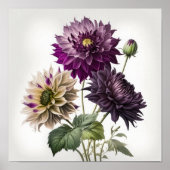Lila Dahlias Blume Art Print Poster (Vorne)