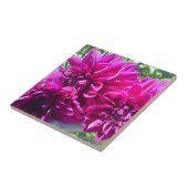 Lila Dahlie-Blumenfliese Fliese (Seite)