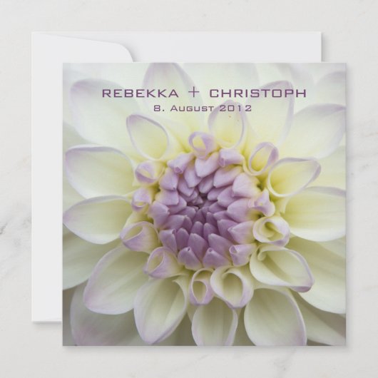 Lila Dahlie • Hochzeits-Einladung Einladung (Vorderseite)