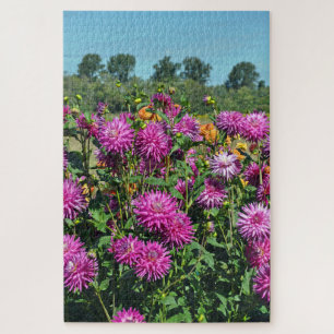 Lila Dahliengarten Puzzle