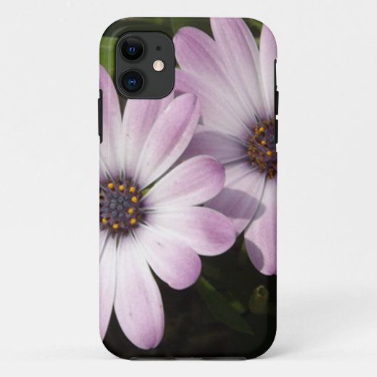 Lila Daisies Case-Mate iPhone Hülle (Rückseite)