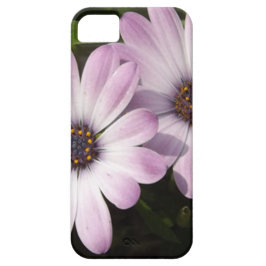 Lila Daisies Case-Mate iPhone Hülle