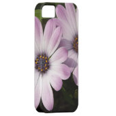 Lila Daisies Case-Mate iPhone Hülle (Rückseite/rechts)