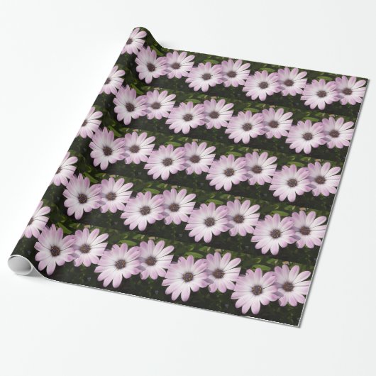 Lila Daisies Geschenkpapier (Ungerollt)