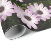 Lila Daisies Geschenkpapier (Rolleneckpunkt)