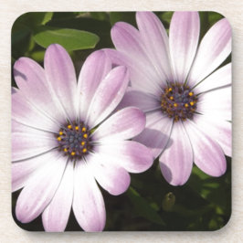 Lila Daisies Getränkeuntersetzer