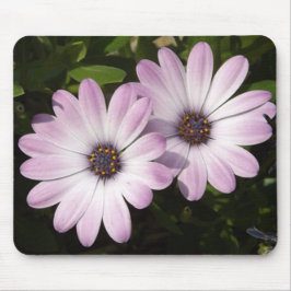 Lila Daisies Mousepad