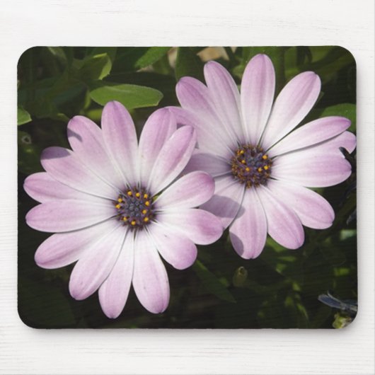 Lila Daisies Mousepad (Vorne)