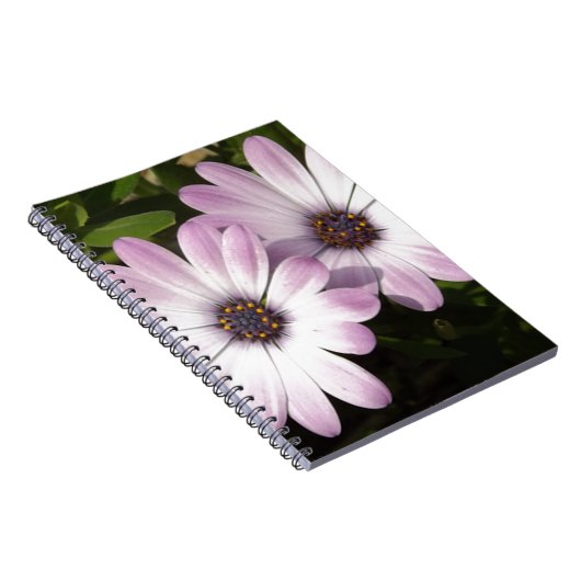 Lila Daisies Notizblock (Rechte Seite)