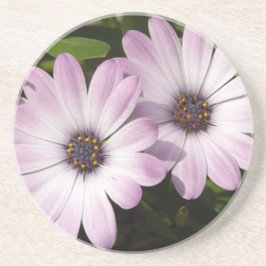 Lila Daisies Sandstein Untersetzer