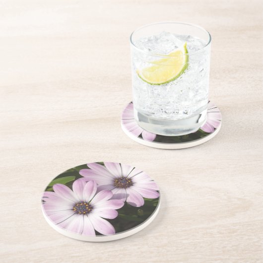 Lila Daisies Sandstein Untersetzer (Seite)