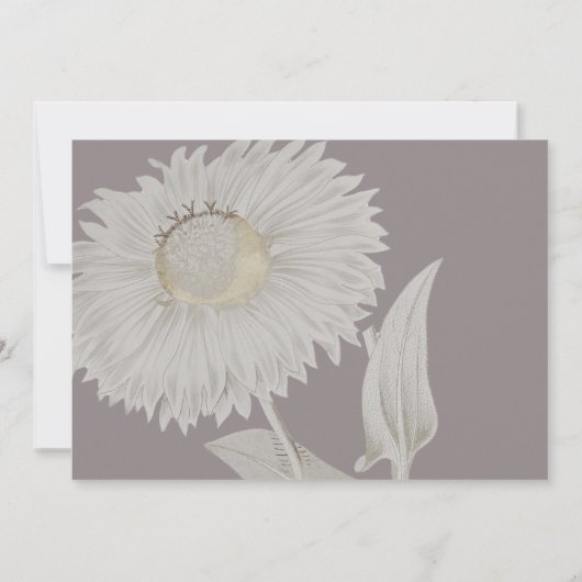 Lila Daisy Antique Wedding Reserviertes Zeichen (Rückseite)