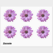 Lila Daisy auf White Stickers (Blatt)