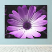 Lila Daisy Blume Canvas Print Leinwanddruck (Insitu (Holzboden))